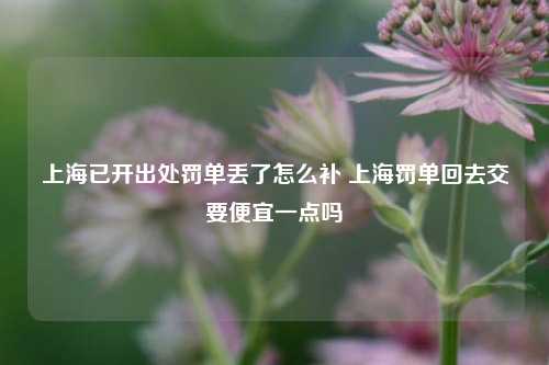 上海已开出处罚单丢了怎么补 上海罚单回去交要便宜一点吗