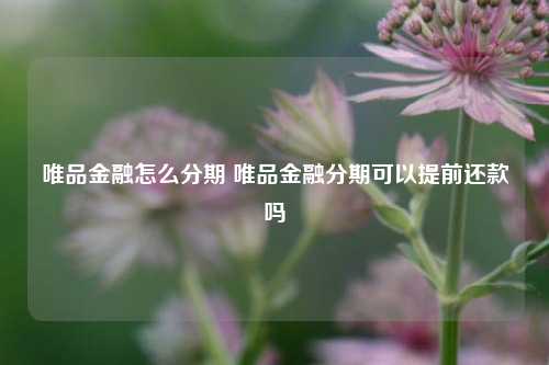 唯品金融怎么分期 唯品金融分期可以提前还款吗