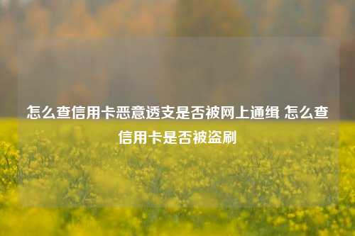 怎么查信用卡恶意透支是否被网上通缉 怎么查信用卡是否被盗刷