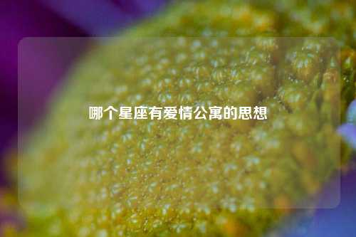 哪个星座有爱情公寓的思想