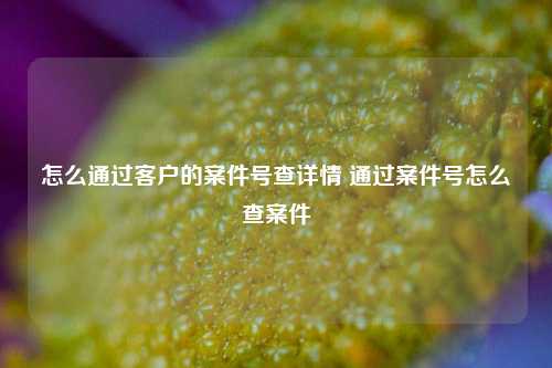 怎么通过客户的案件号查详情 通过案件号怎么查案件