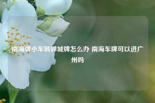 南海牌小车转禅城牌怎么办 南海车牌可以进广州吗