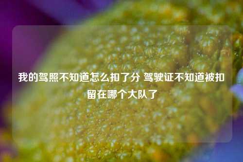 我的驾照不知道怎么扣了分 驾驶证不知道被扣留在哪个大队了