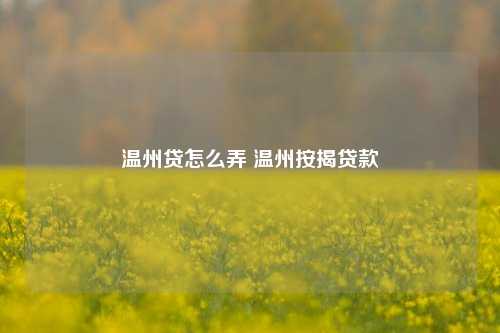 温州贷怎么弄 温州按揭贷款