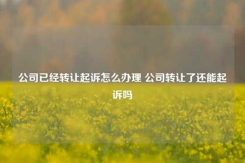 公司已经转让起诉怎么办理 公司转让了还能起诉吗