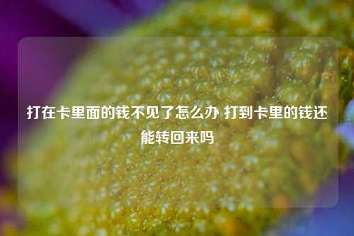 打在卡里面的钱不见了怎么办 打到卡里的钱还能转回来吗