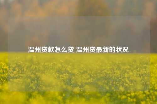 温州贷款怎么贷 温州贷最新的状况