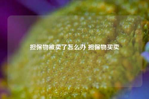 担保物被卖了怎么办 担保物买卖