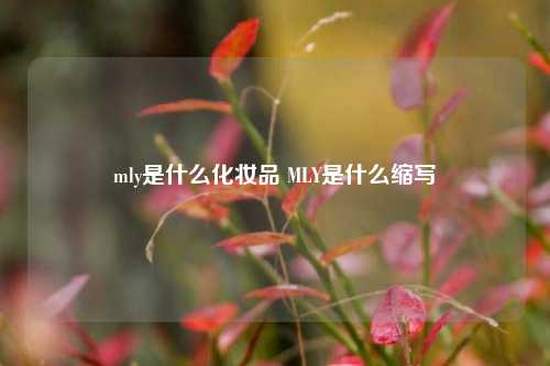 mly是什么化妆品 MLY是什么缩写