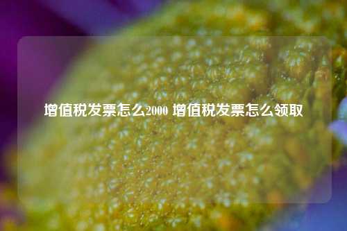 增值税发票怎么2000 增值税发票怎么领取