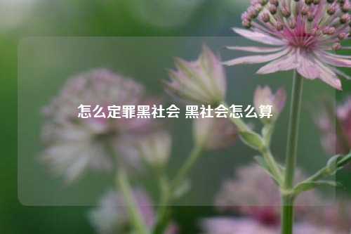 怎么定罪黑社会 黑社会怎么算