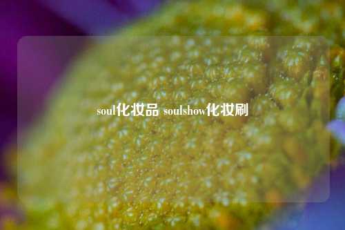 soul化妆品 soulshow化妆刷