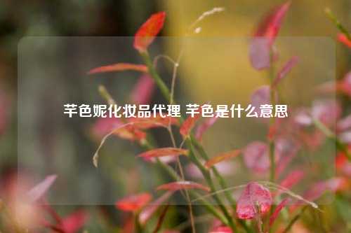 芊色妮化妆品代理 芊色是什么意思