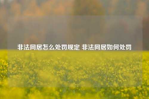 非法同居怎么处罚规定 非法同居如何处罚