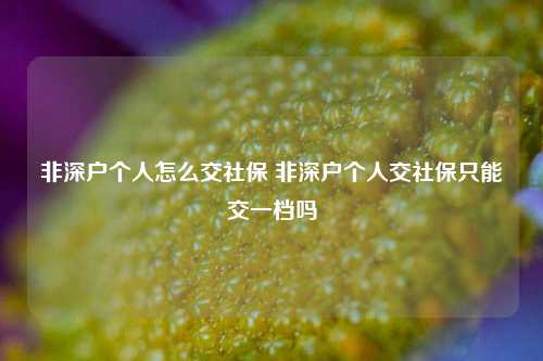 非深户个人怎么交社保 非深户个人交社保只能交一档吗