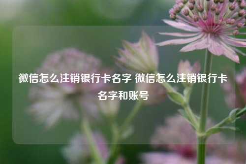 微信怎么注销银行卡名字 微信怎么注销银行卡名字和账号