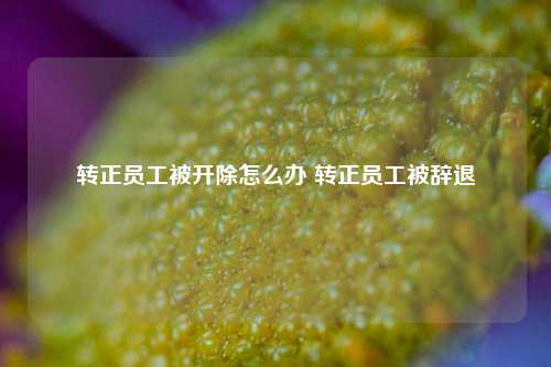 转正员工被开除怎么办 转正员工被辞退