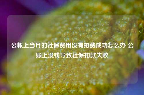 公帐上当月的社保费用没有扣费成功怎么办 公账上没钱导致社保扣款失败