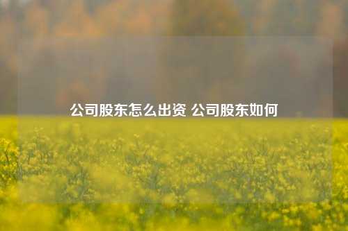 公司股东怎么出资 公司股东如何