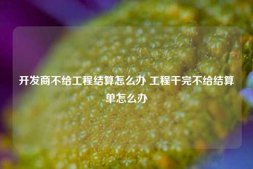 开发商不给工程结算怎么办 工程干完不给结算单怎么办