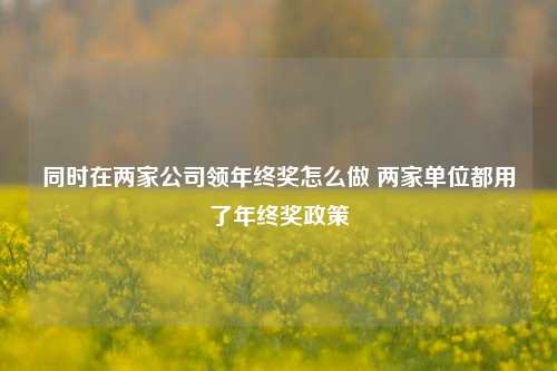 同时在两家公司领年终奖怎么做 两家单位都用了年终奖政策