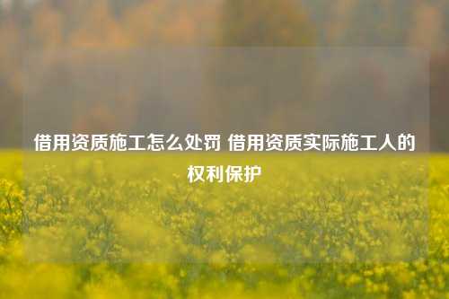 借用资质施工怎么处罚 借用资质实际施工人的权利保护