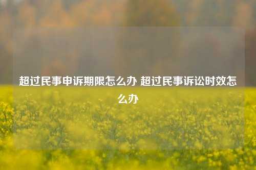 超过民事申诉期限怎么办 超过民事诉讼时效怎么办