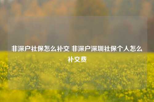 非深户社保怎么补交 非深户深圳社保个人怎么补交费