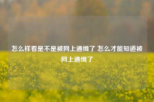 怎么样看是不是被网上通缉了 怎么才能知道被网上通缉了