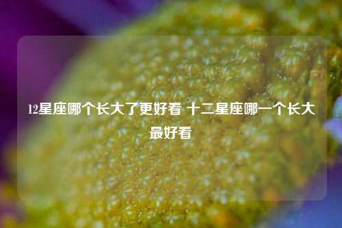 12星座哪个长大了更好看 十二星座哪一个长大最好看