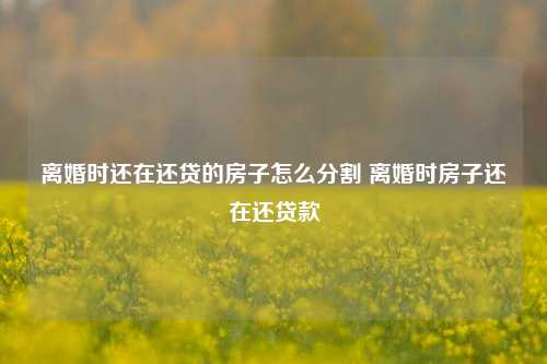 离婚时还在还贷的房子怎么分割 离婚时房子还在还贷款