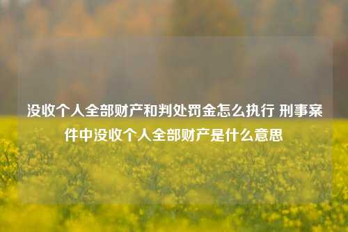 没收个人全部财产和判处罚金怎么执行 刑事案件中没收个人全部财产是什么意思