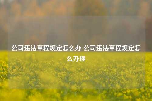 公司违法章程规定怎么办 公司违法章程规定怎么办理