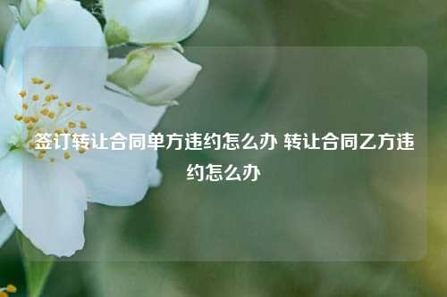 签订转让合同单方违约怎么办 转让合同乙方违约怎么办