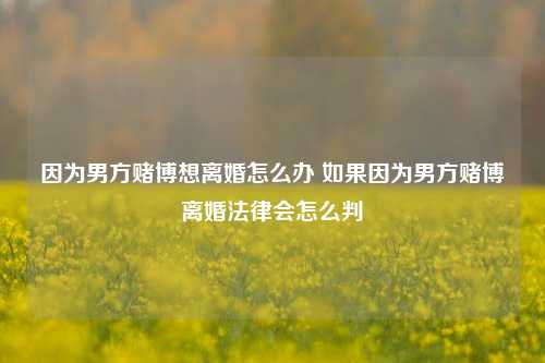 因为男方赌博想离婚怎么办 如果因为男方赌博离婚法律会怎么判