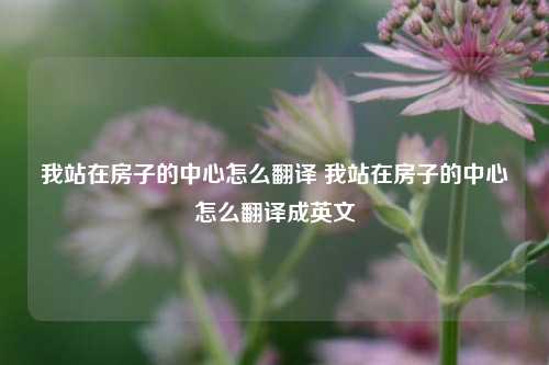 我站在房子的中心怎么翻译 我站在房子的中心怎么翻译成英文