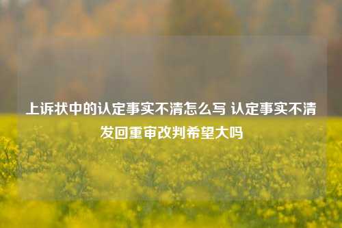 上诉状中的认定事实不清怎么写 认定事实不清发回重审改判希望大吗