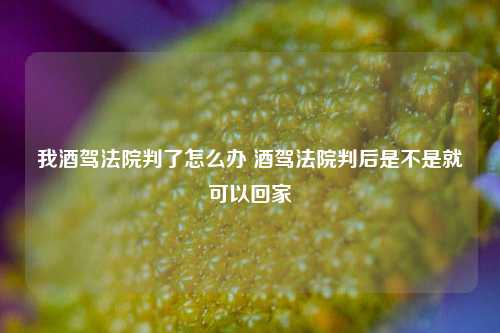 我酒驾法院判了怎么办 酒驾法院判后是不是就可以回家