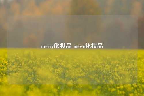 merry化妆品 mewe化妆品