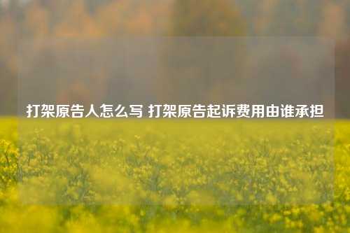 打架原告人怎么写 打架原告起诉费用由谁承担