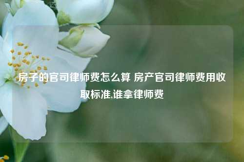 房子的官司律师费怎么算 房产官司律师费用收取标准,谁拿律师费