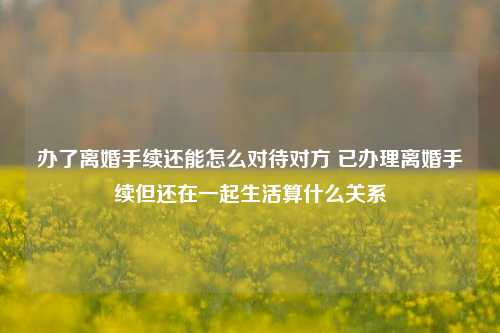 办了离婚手续还能怎么对待对方 已办理离婚手续但还在一起生活算什么关系