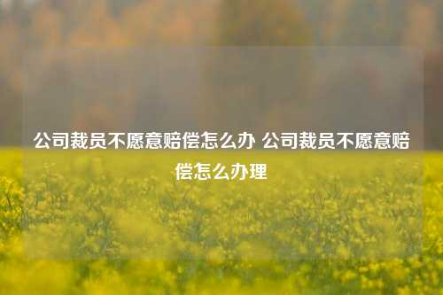 公司裁员不愿意赔偿怎么办 公司裁员不愿意赔偿怎么办理