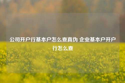 公司开户行基本户怎么查真伪 企业基本户开户行怎么查