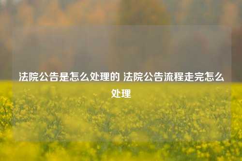 法院公告是怎么处理的 法院公告流程走完怎么处理