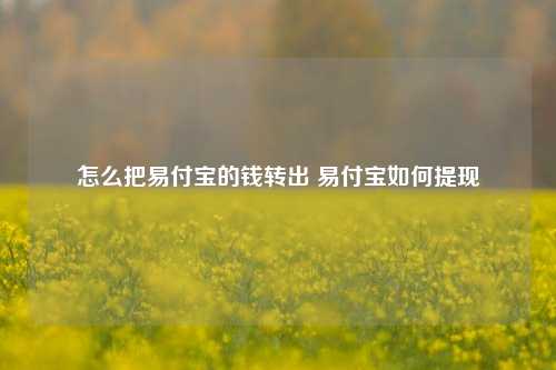 怎么把易付宝的钱转出 易付宝如何提现