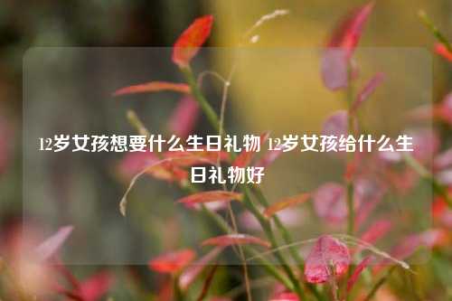 12岁女孩想要什么生日礼物 12岁女孩给什么生日礼物好