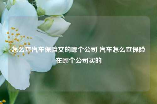 怎么查汽车保险交的哪个公司 汽车怎么查保险在哪个公司买的