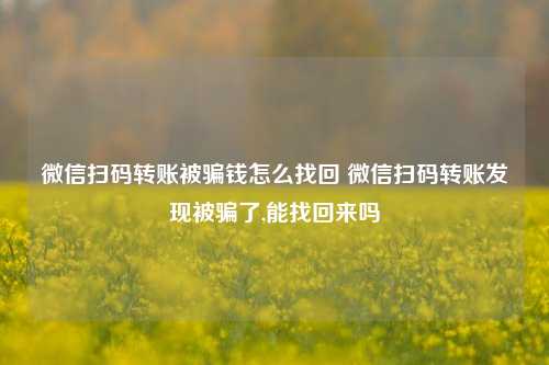 微信扫码转账被骗钱怎么找回 微信扫码转账发现被骗了,能找回来吗