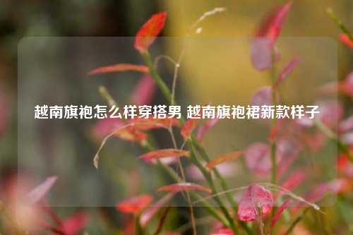 越南旗袍怎么样穿搭男 越南旗袍裙新款样子